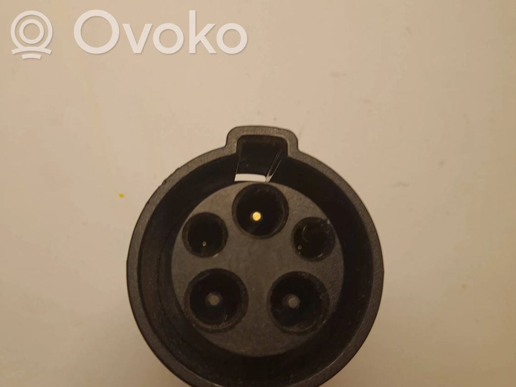 Pakrovėjas akumuliatorius (papildomas)   106734800B