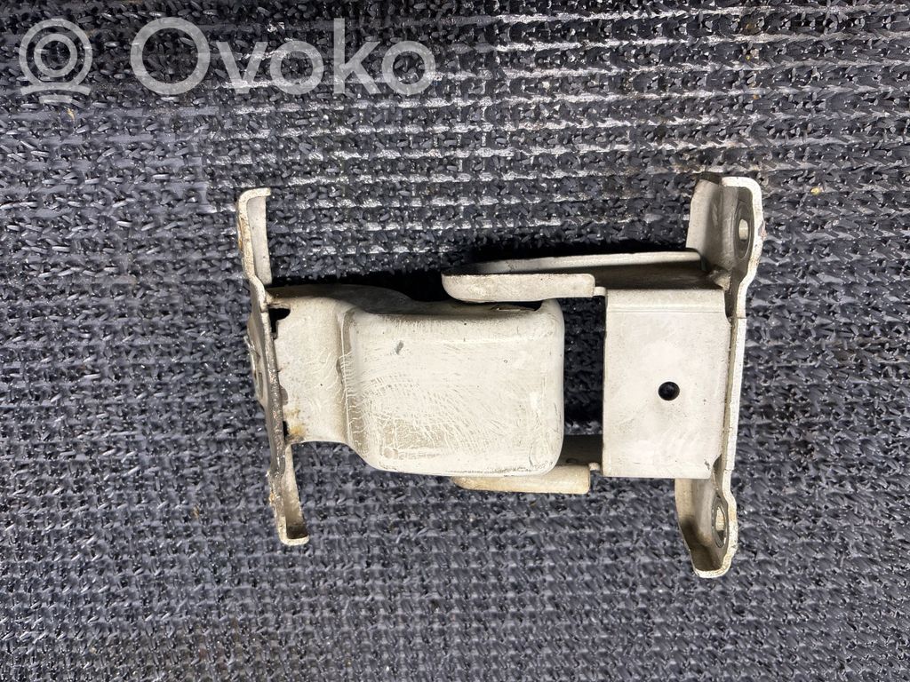 Renault Trafic II (X83) Tailgate/trunk/boot hinge 