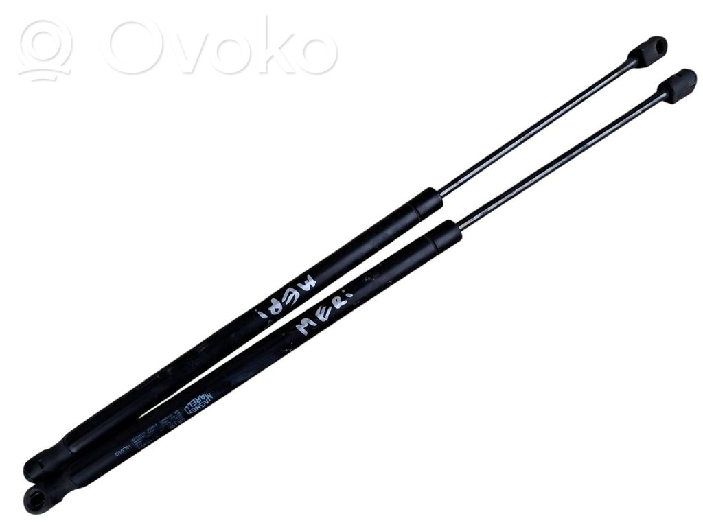 Tailgate/trunk strut/damper