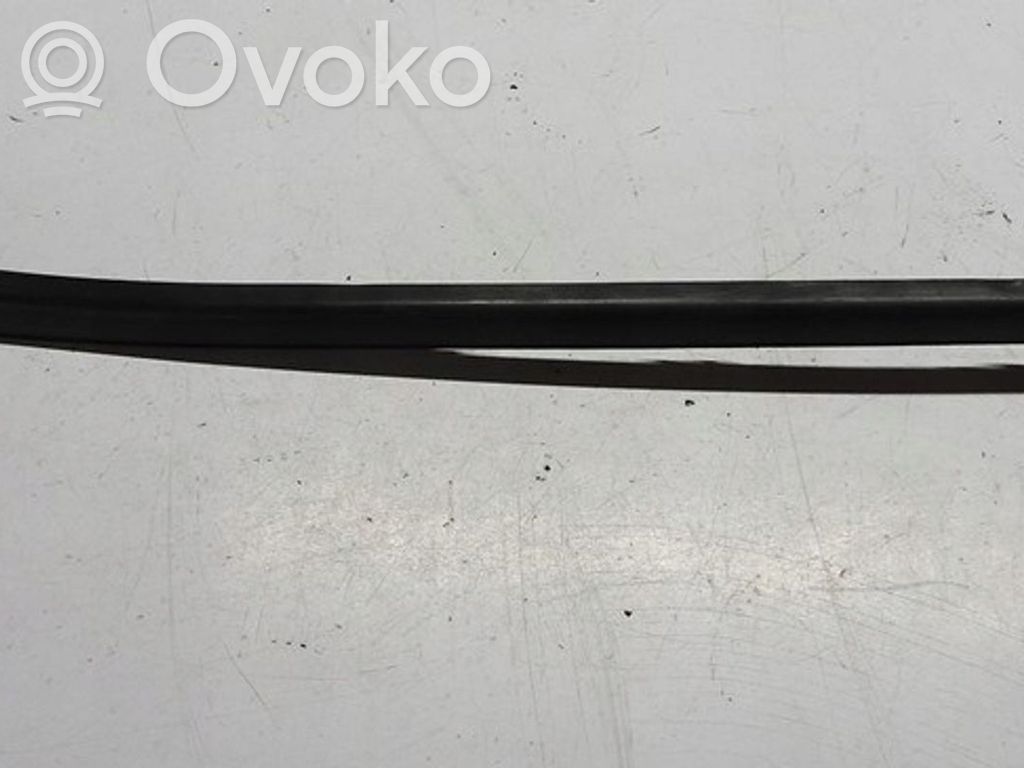 Citroen DS4 Windshield trim 