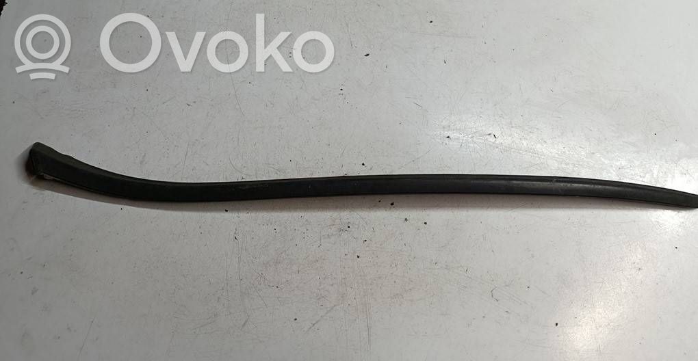 Citroen DS4 Windshield trim 