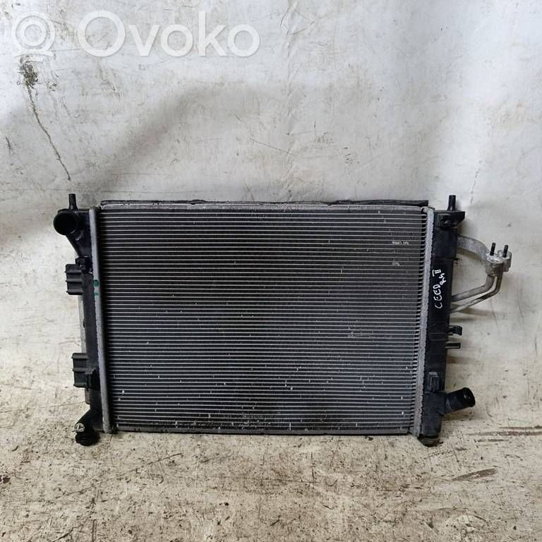 Radiator set   HKMC