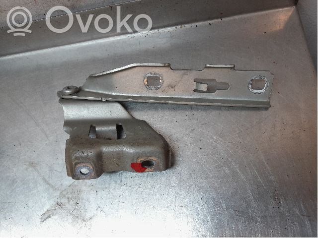 Audi A4 Allroad Cerniere del vano motore/cofano 