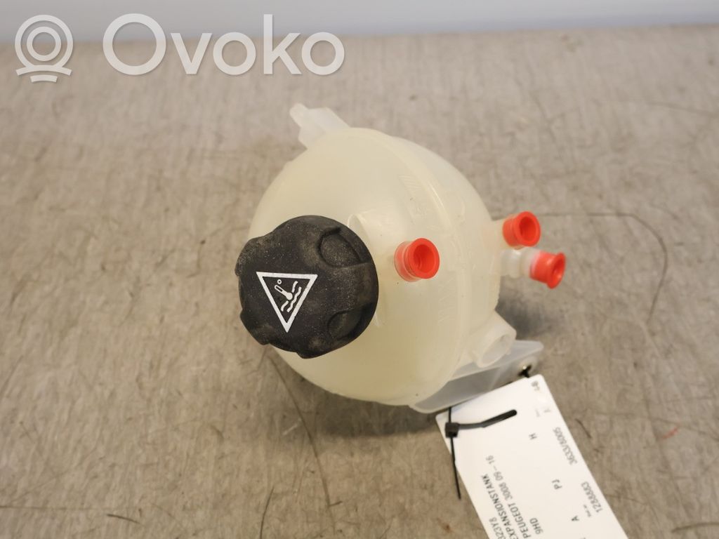 Peugeot 3008 I Coolant expansion tank/reservoir 