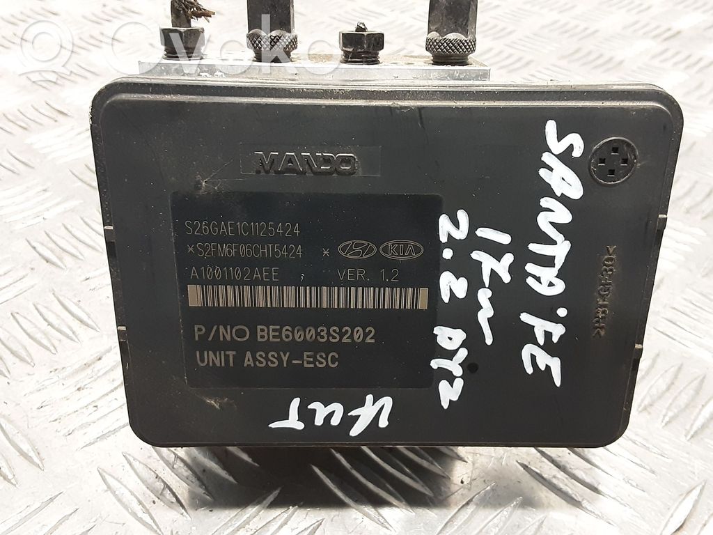 Bomba de ABS   589202WEC0