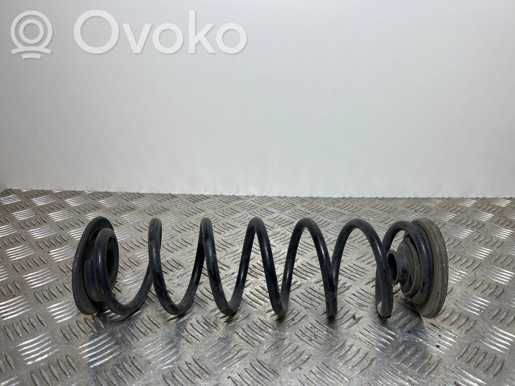 Rear coil spring