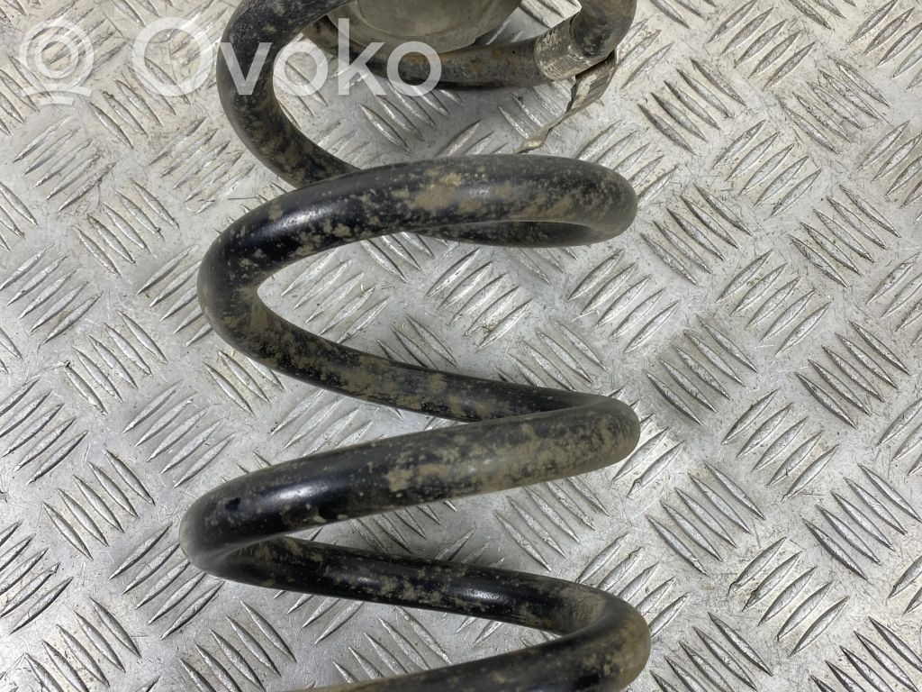 Rear coil spring