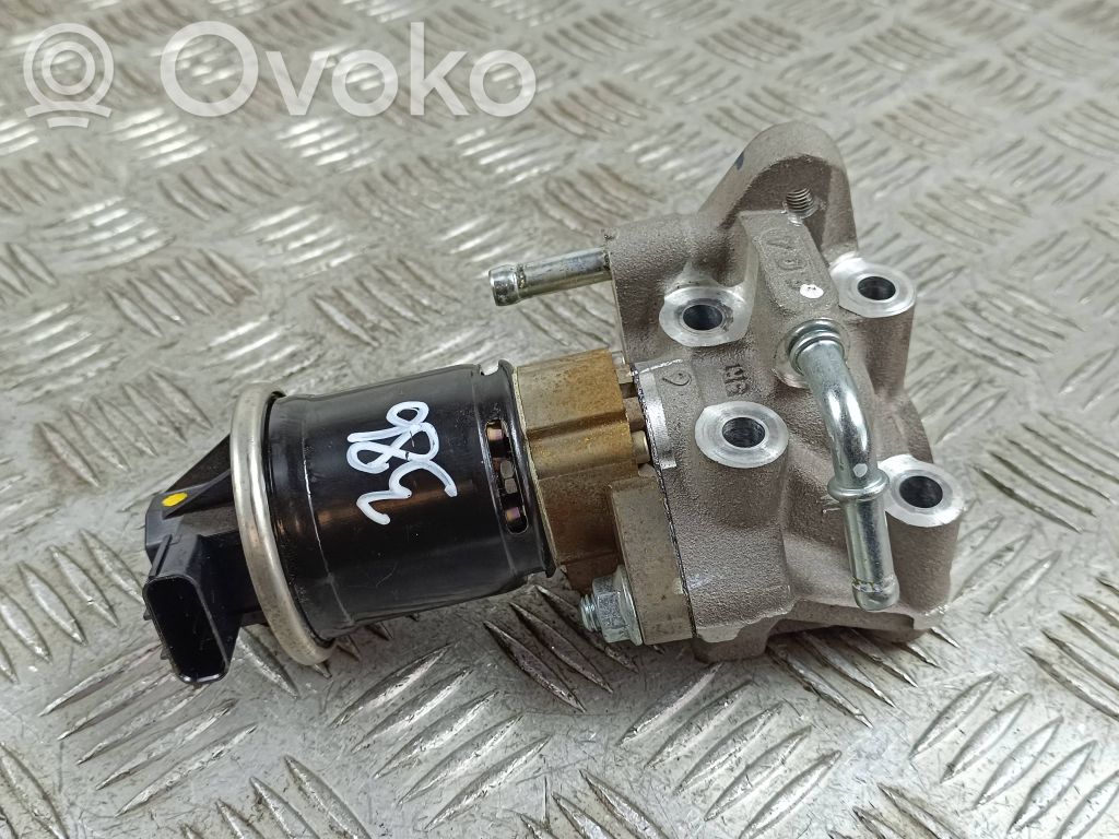 Zawór EGR   SV021851907,510032