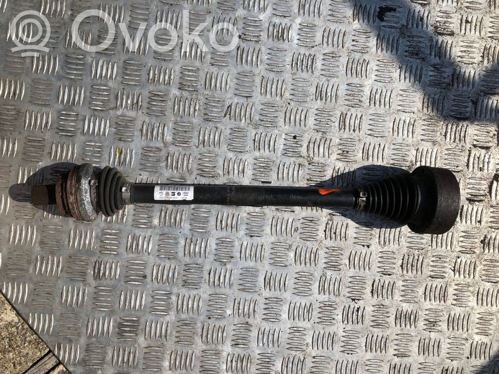 Volkswagen Golf VI Galinis pusašis 
