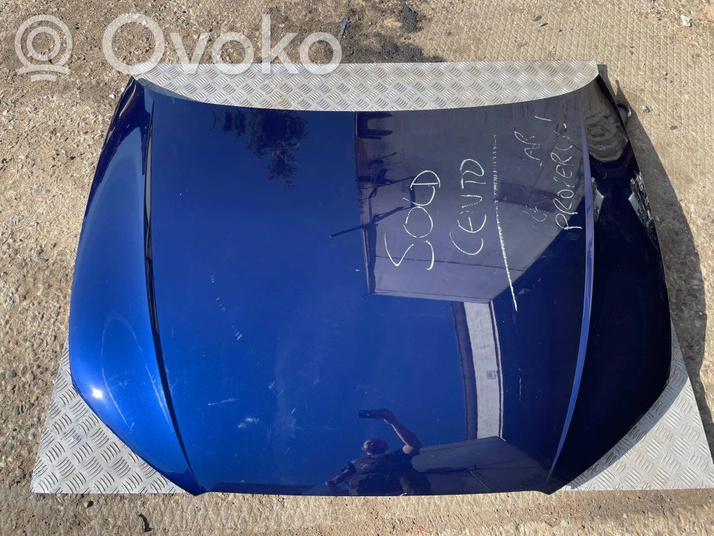 Engine bonnet/hood