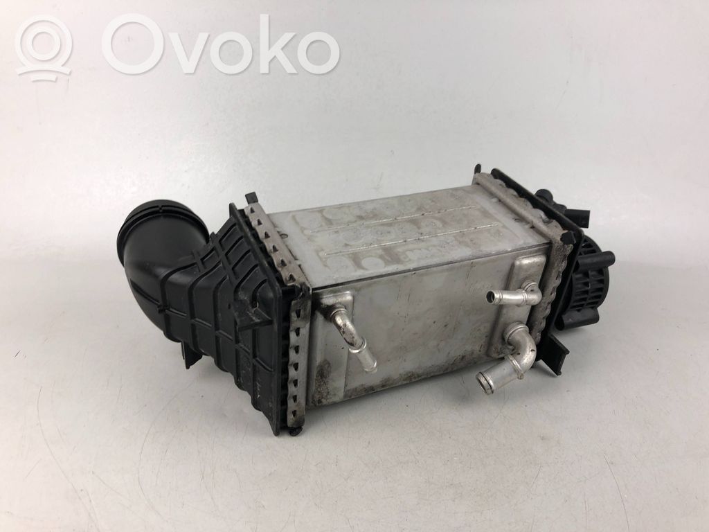 Volkswagen Tiguan Interkūlerio radiatorius 