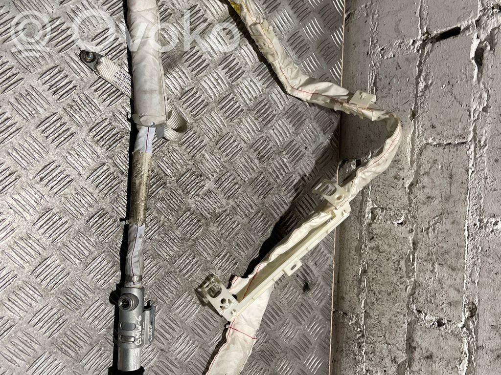 Airbag del techo   85701276412T