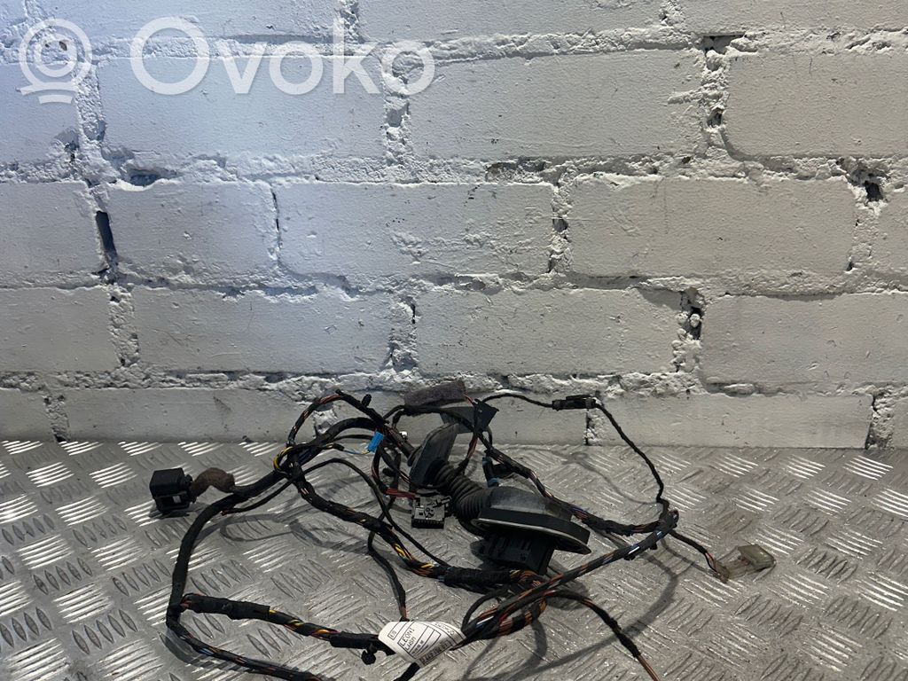 BMW X5 E70 Cableado de puerta delantera 