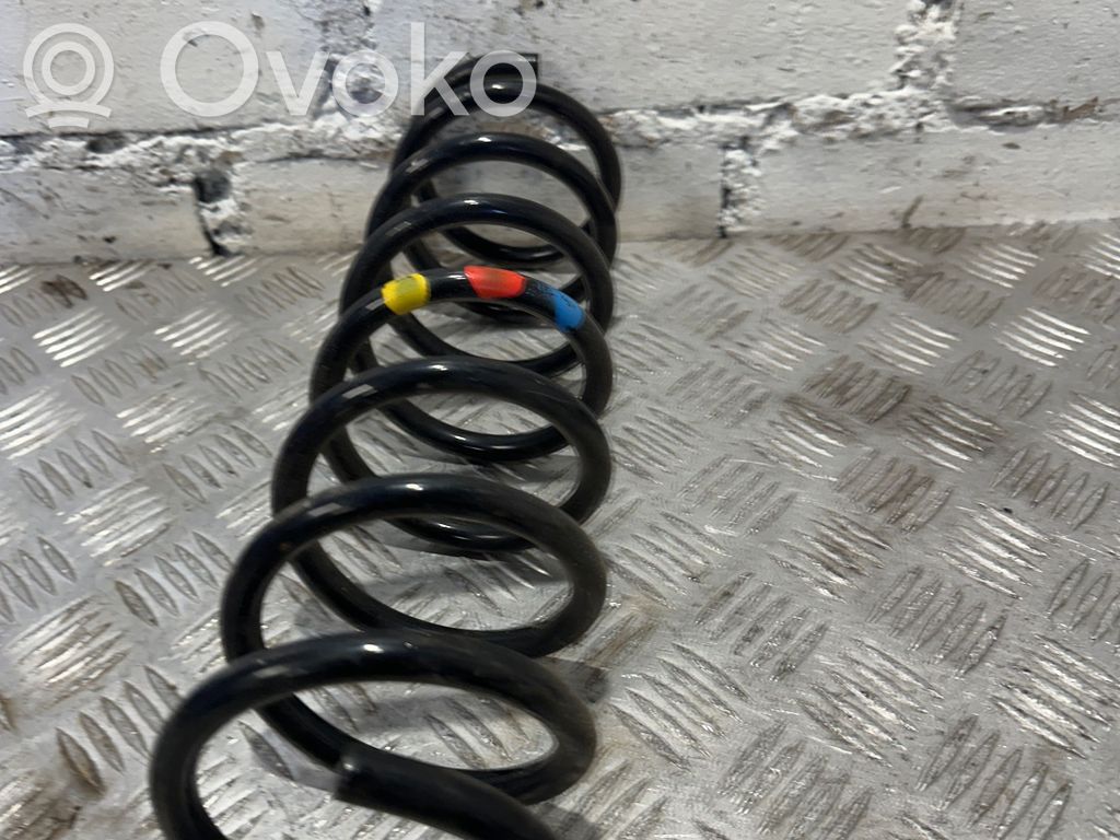 Rear coil spring