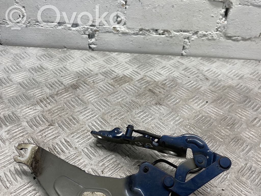 BMW X5 E70 Engine bonnet/hood hinges 