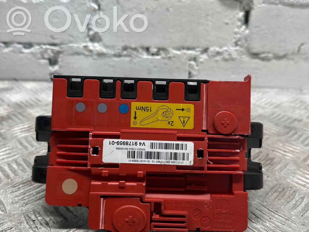 BMW X5 E70 Positive wiring loom 