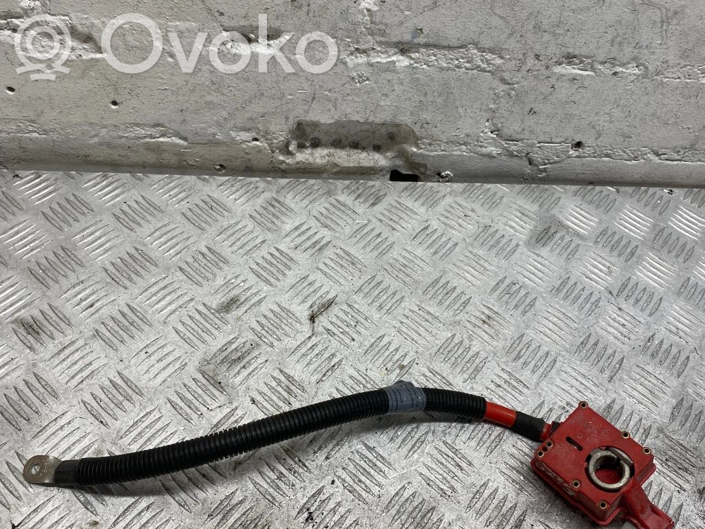 BMW X5 E70 Pliusinis laidas (akumuliatoriaus) 