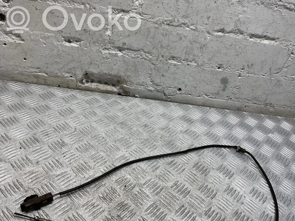 Peugeot 407 Exhaust gas temperature sensor 