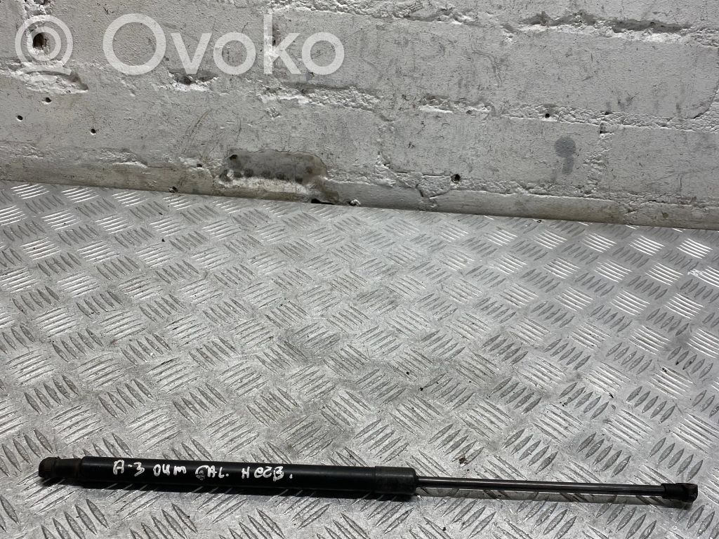 Audi A3 S3 A3 Sportback 8P Tailgate/trunk strut/damper 