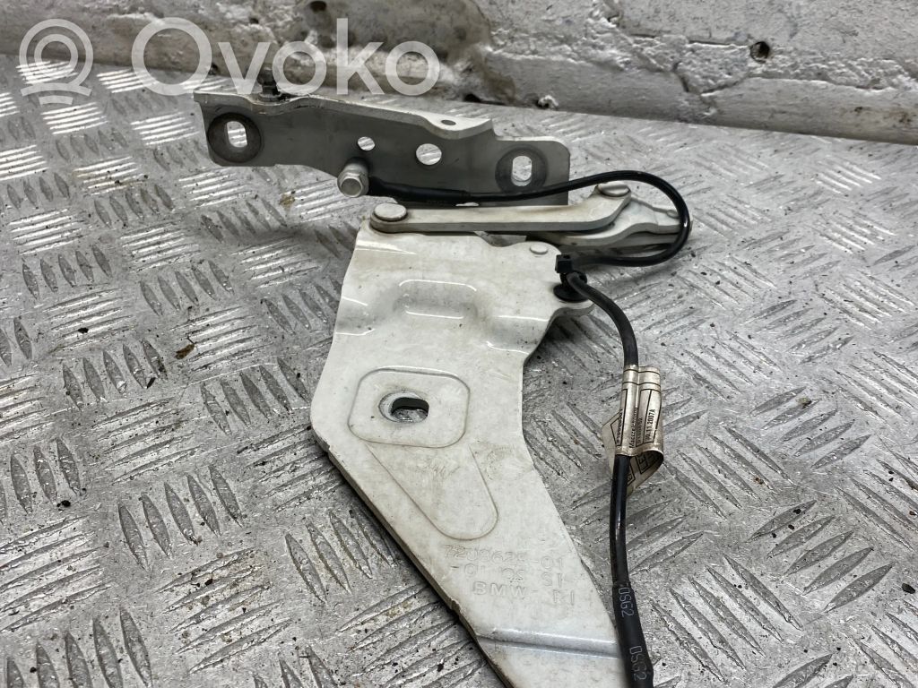 BMW X5 E70 Engine bonnet/hood hinges 