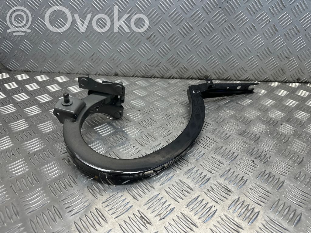 Tailgate/trunk/boot hinge   7357115