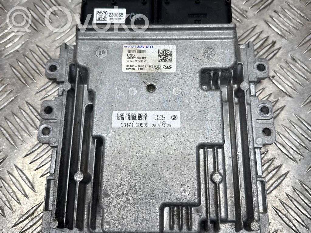 KIA Sportage Engine control unit/module 