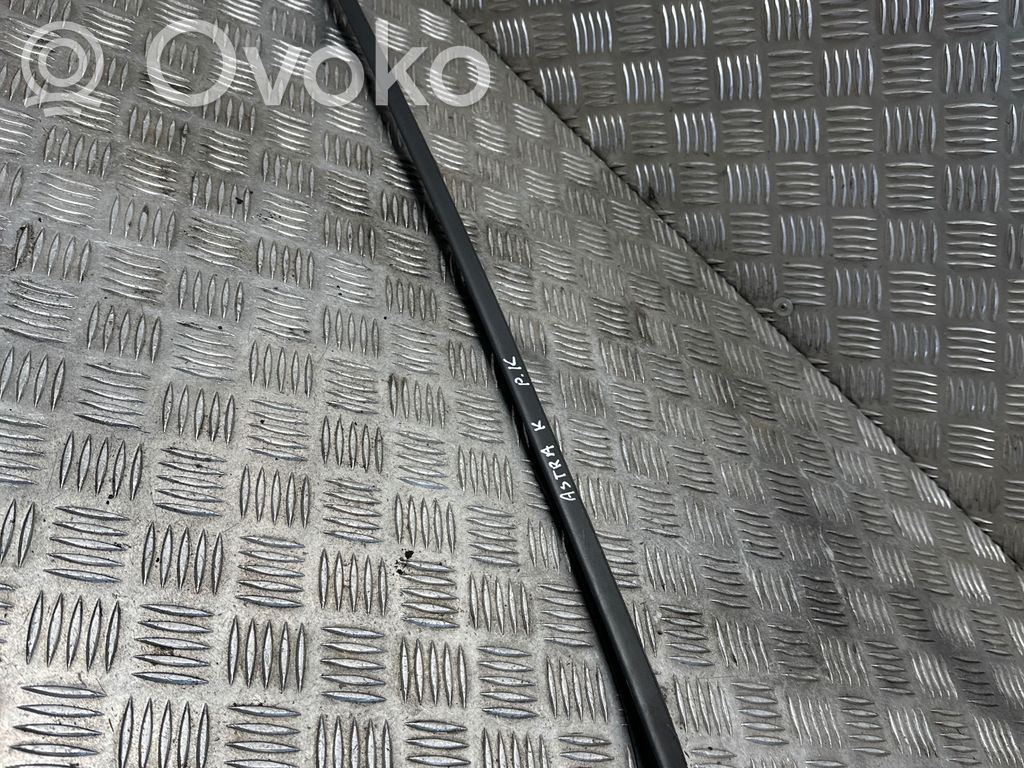 Windshield trim   39041883