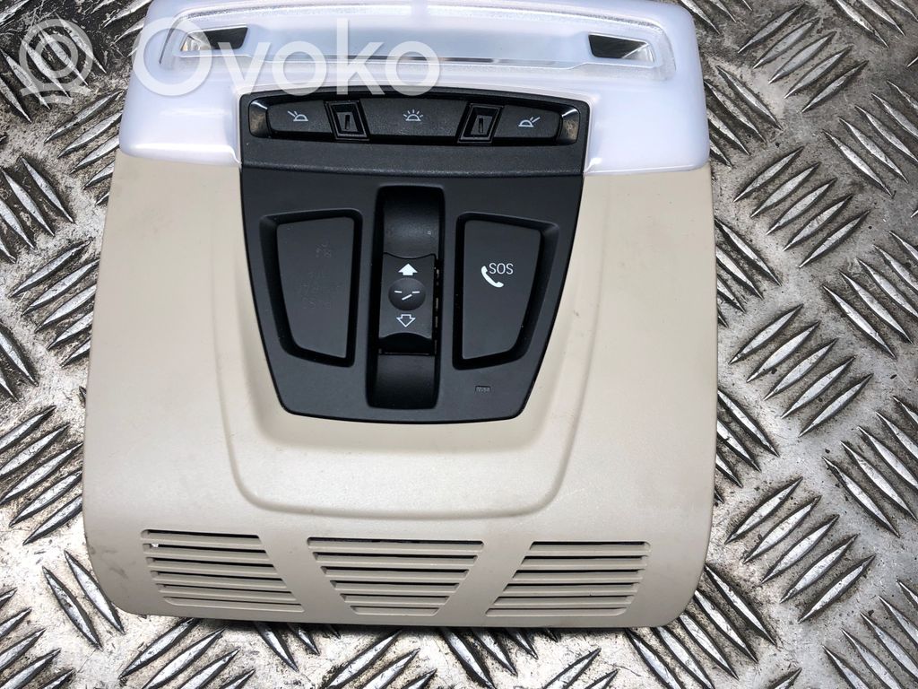 BMW X5 F15 Front seat light 