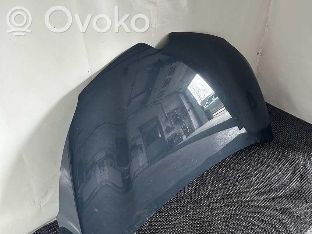 Motorhaube   0327