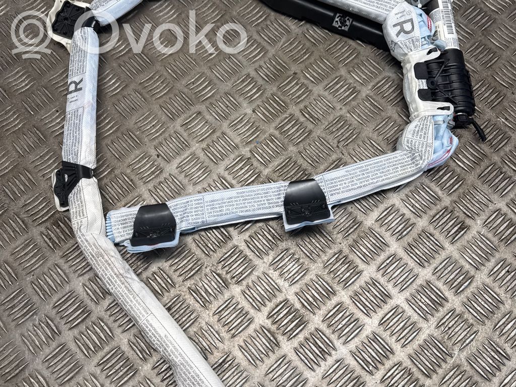 BMW X1 E84 Airbag del techo 