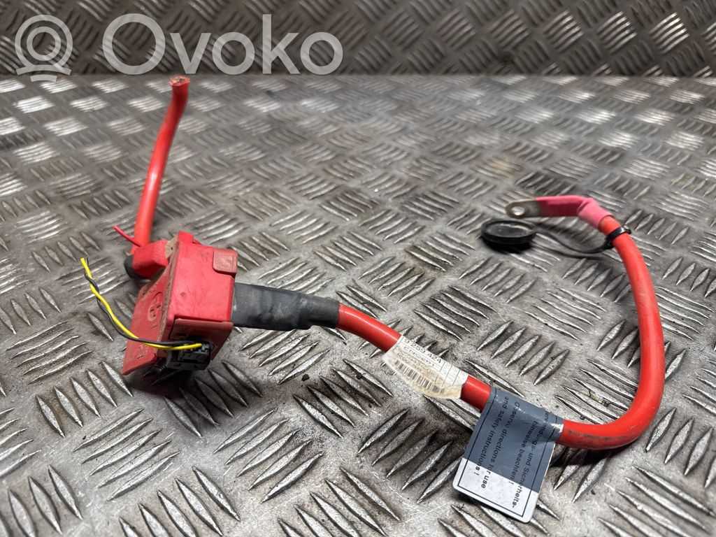 BMW 3 F30 F35 F31 Cavo positivo (batteria) 