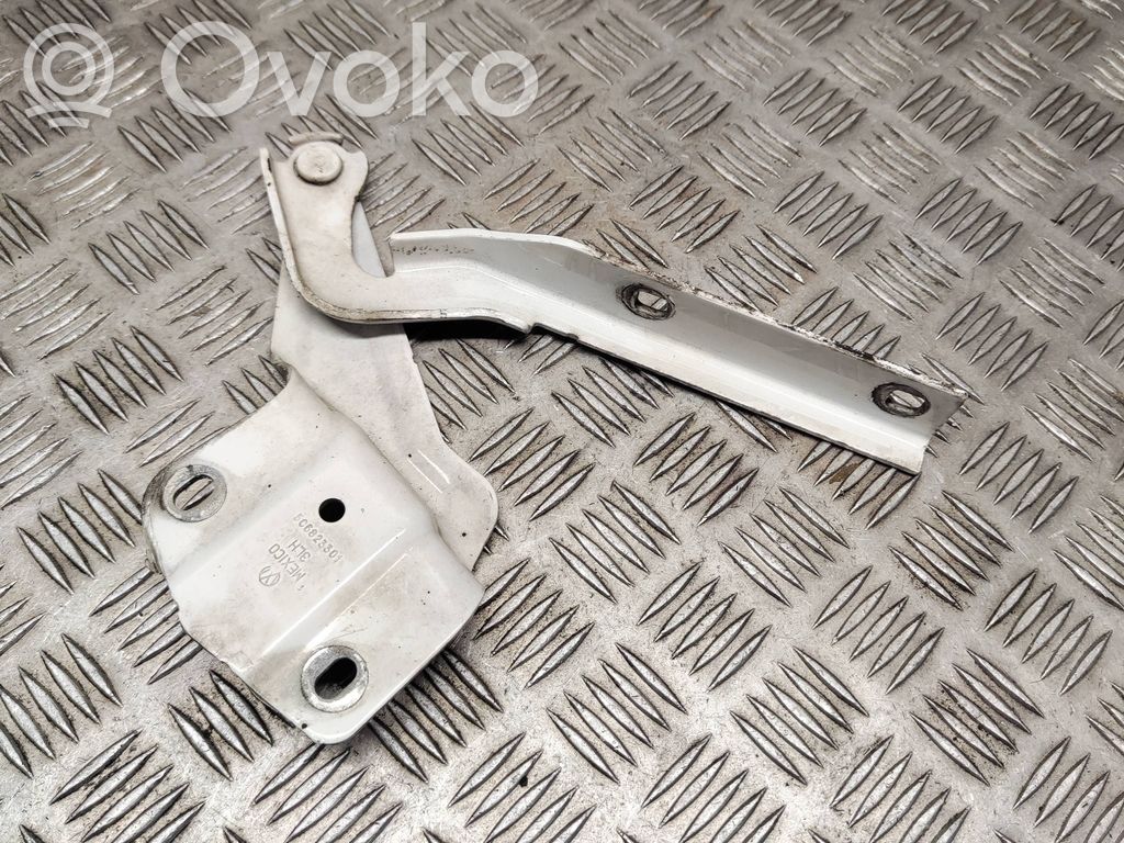 Volkswagen Jetta VI Balamale capotă 