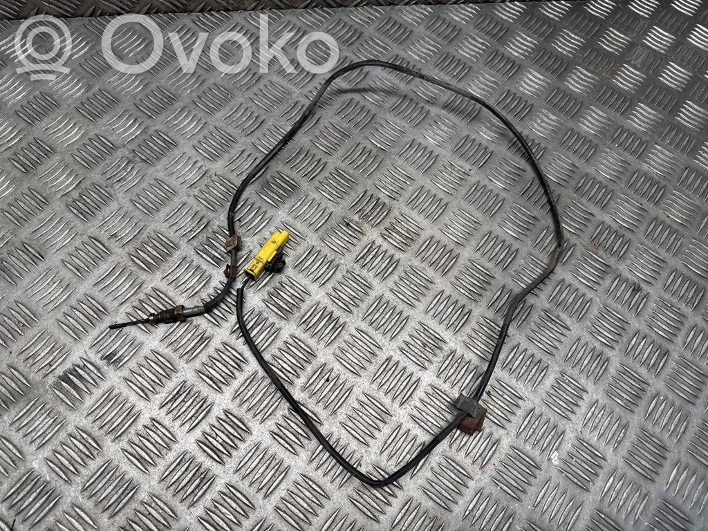 Citroen DS5 Sensor de temperatura del escape