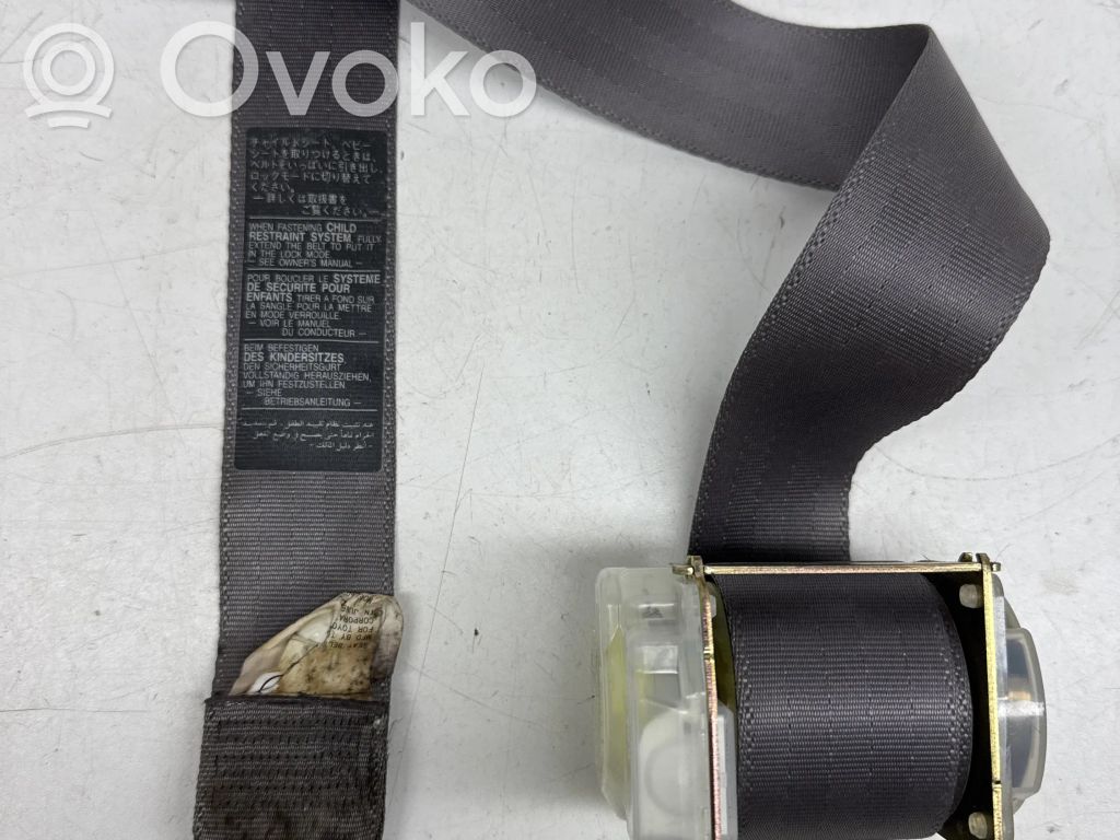 Cinturón trasero   7D6950,057666