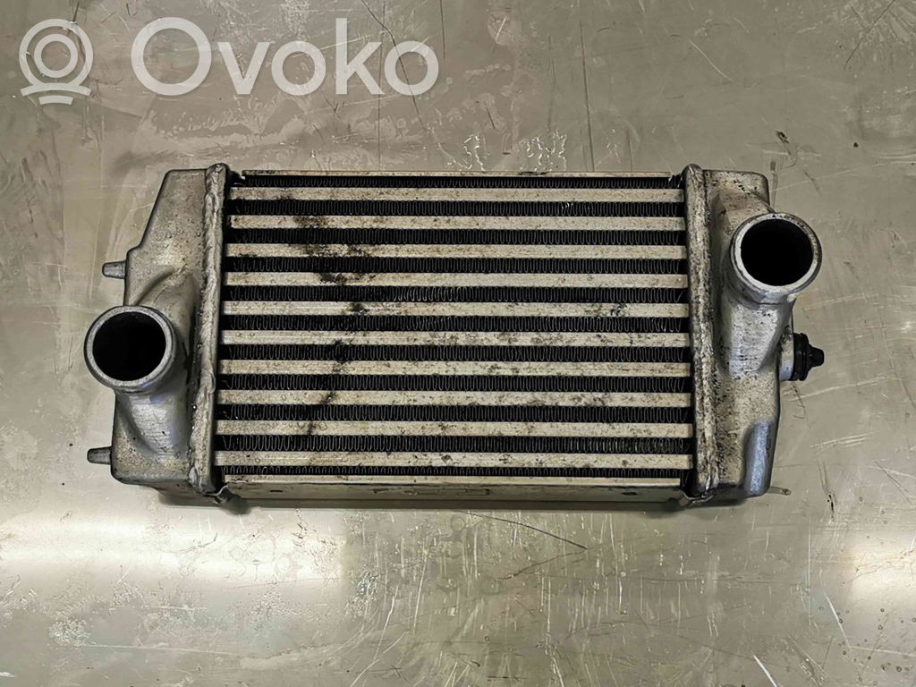 Chrysler Voyager Oro nukreipėjas/ kanalas interkūlerio radiatoriaus 