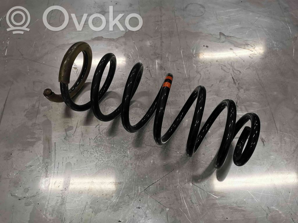 Rear coil spring