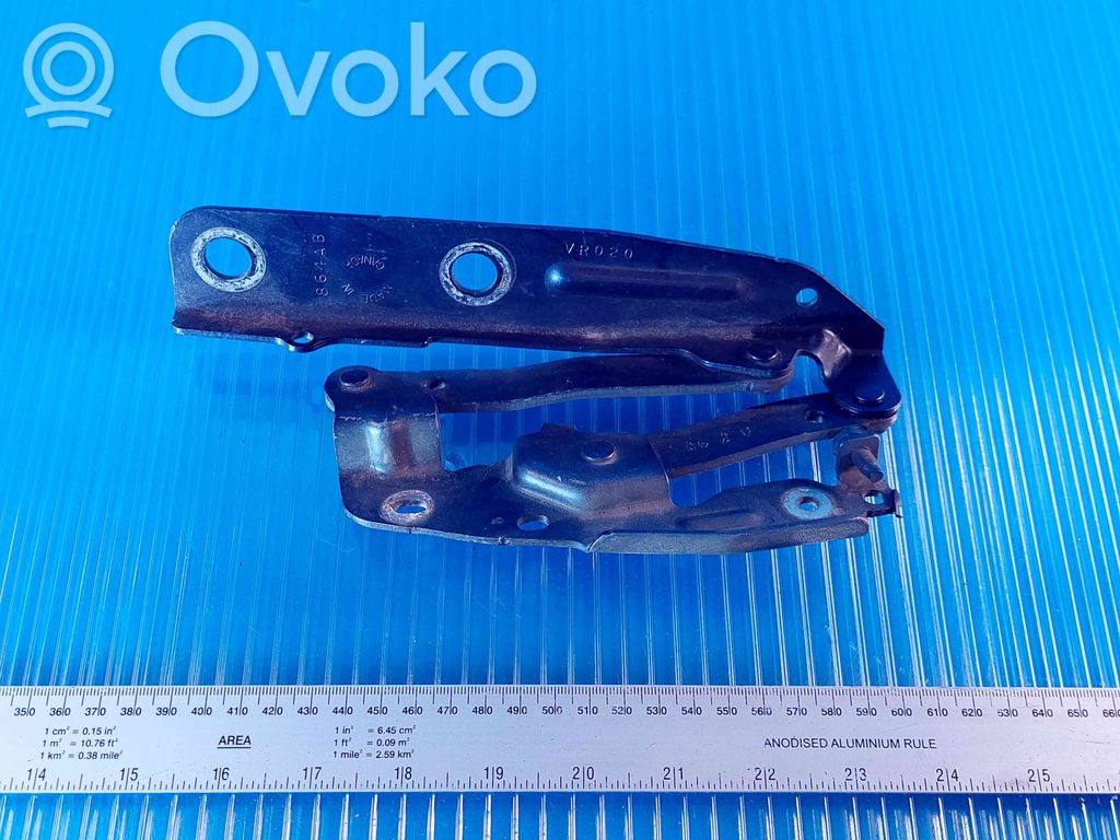 Chrysler Voyager Engine bonnet/hood hinges 