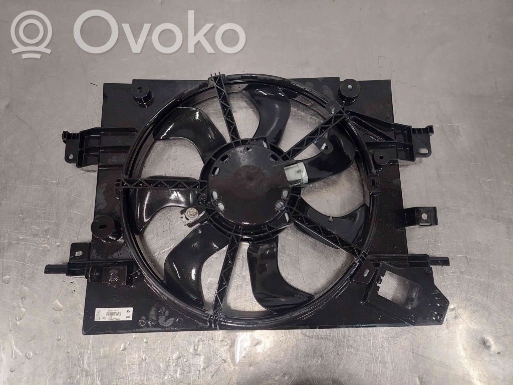 Elektrolüfter   214811626R,FS2090,T908189