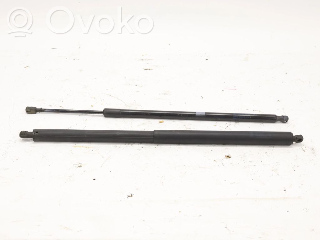 Tailgate strut   EM2BR402A74BD
