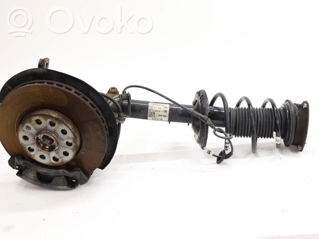 Galinė stebulė   5Q0256B