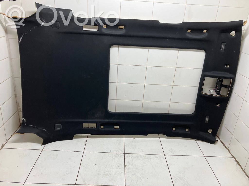 BMW X5 E70 Потолок 