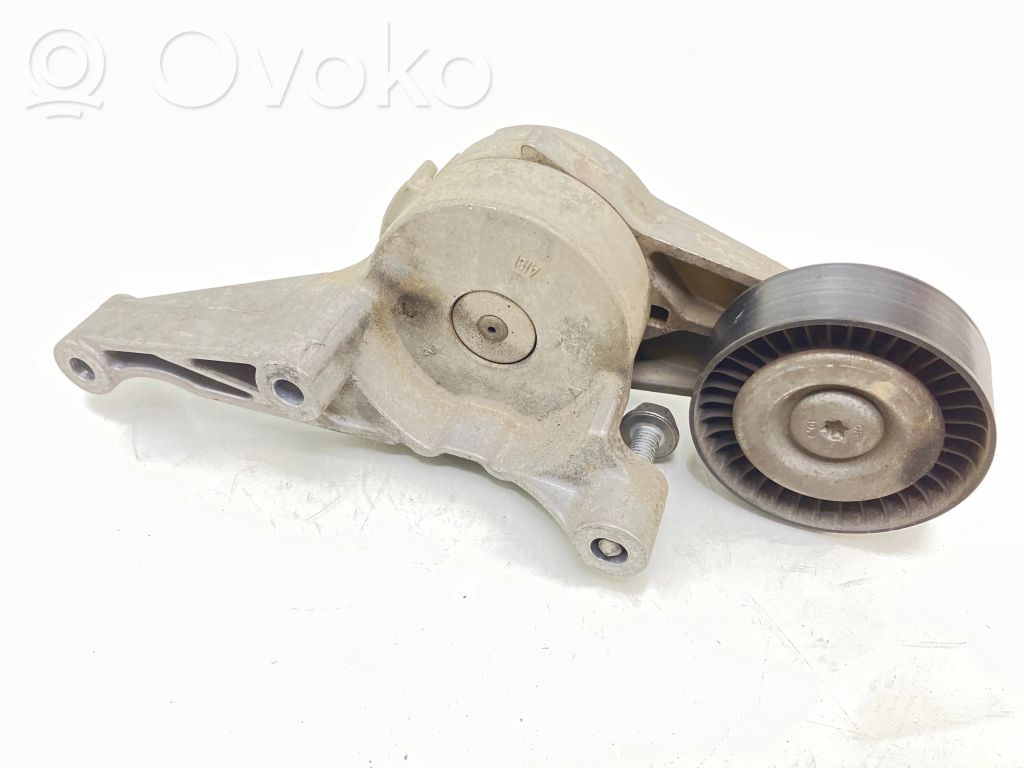 Skoda Octavia Mk2 (1Z) Întinzător curea generator/alternator 