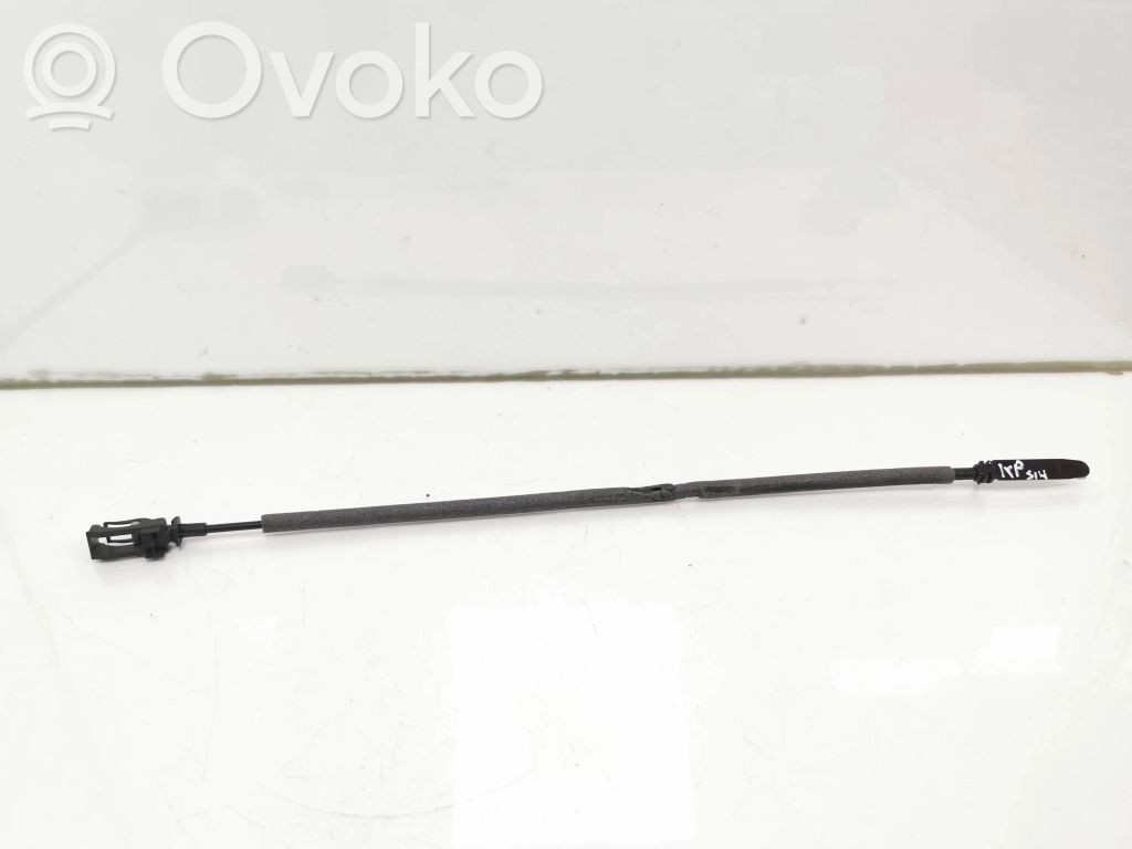 Ford Focus Línea de cable puerta delantera 