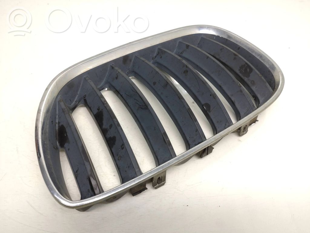 BMW X5 E53 Front bumper upper radiator grill 