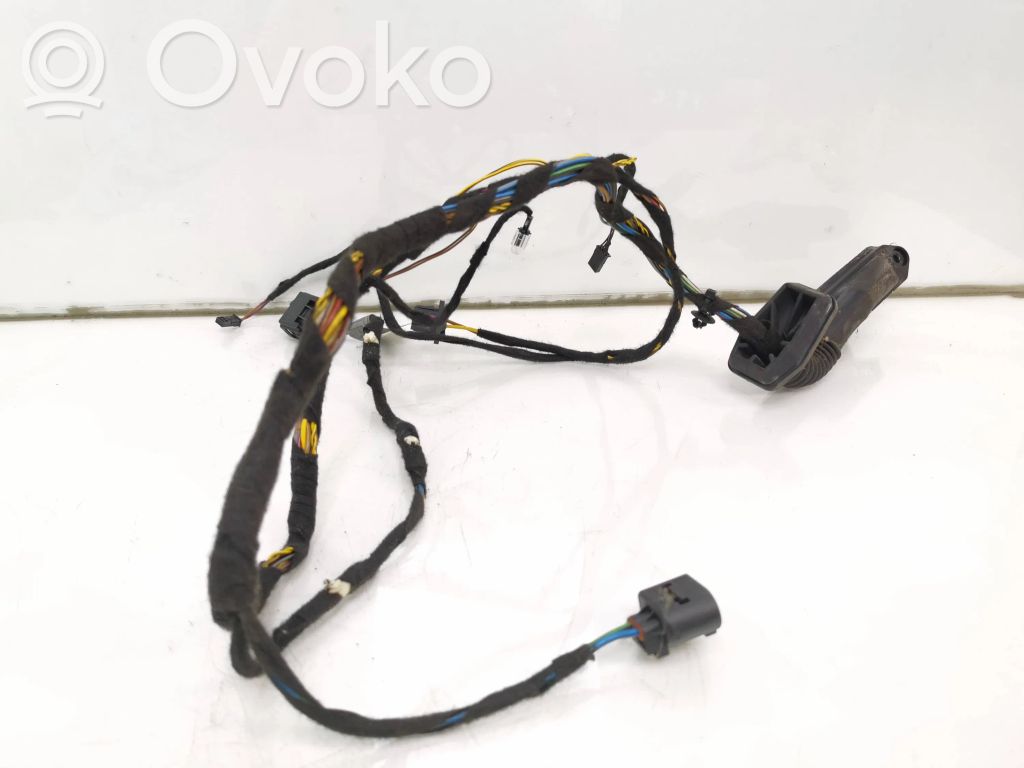 BMW X5 E53 Cableado de puerta trasera 