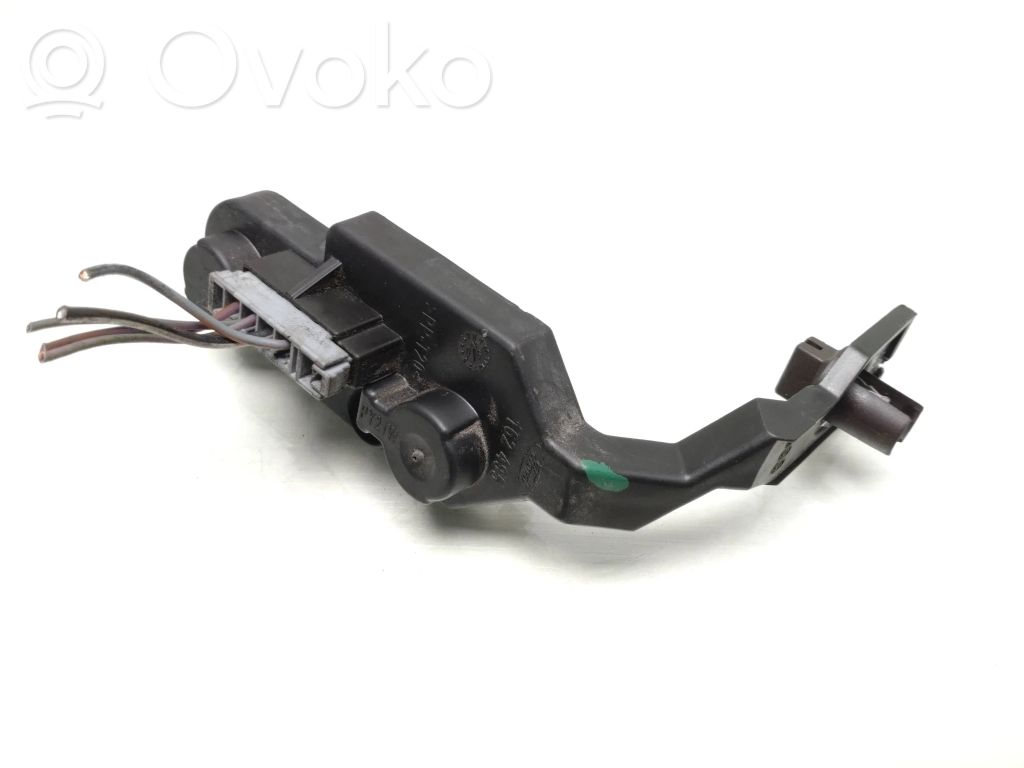 Ford Galaxy Tail light bulb cover holder 