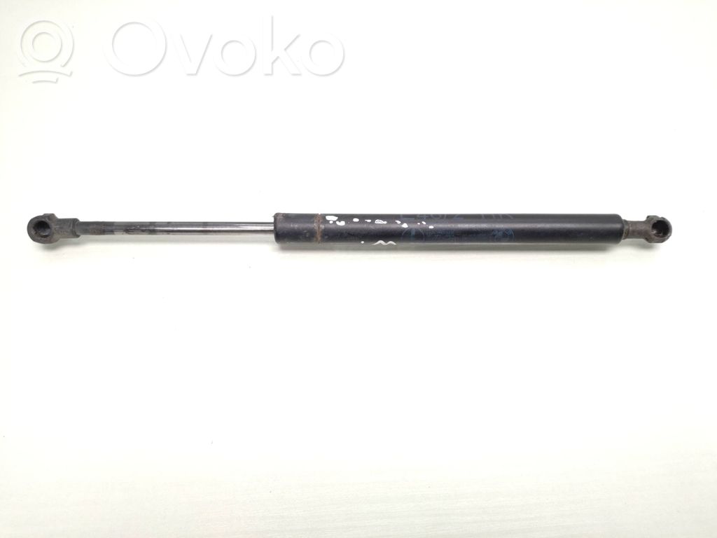 Tailgate/trunk strut/damper   8254281,51248254281,4212802,51248254281,51244212802,51248254281,8220075