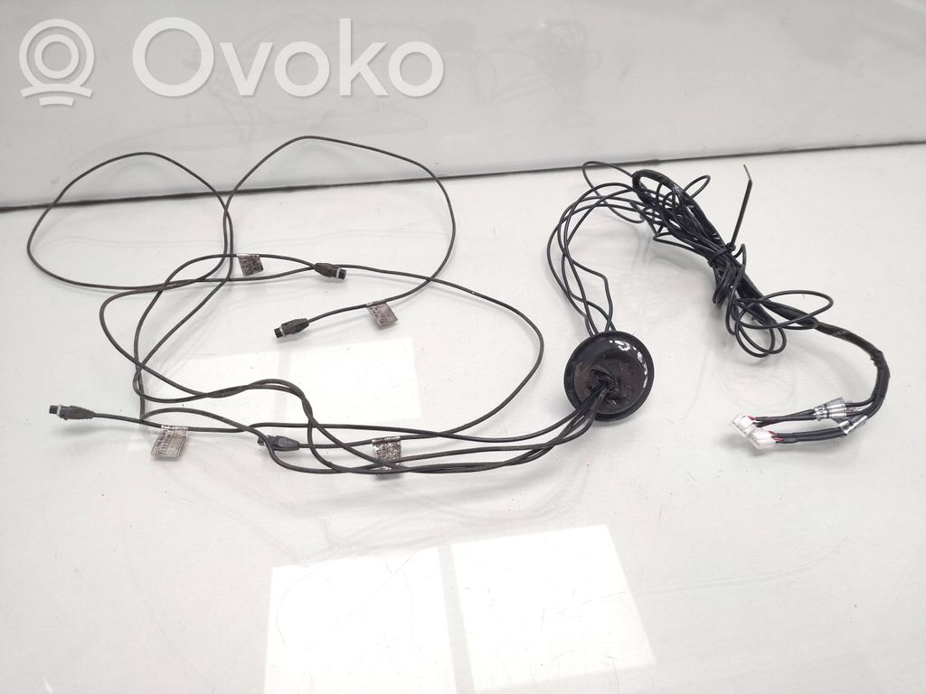 Cableado del sensor de aparcamiento (PDC)   1111402438,5001011830,E67647M,5001011830,E67647M