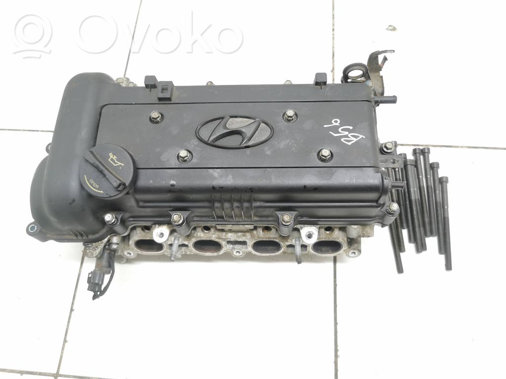Głowica silnika   0215CBEC,Z21D603,241002B110,085000351,243502B600,304841470,3Q15000610