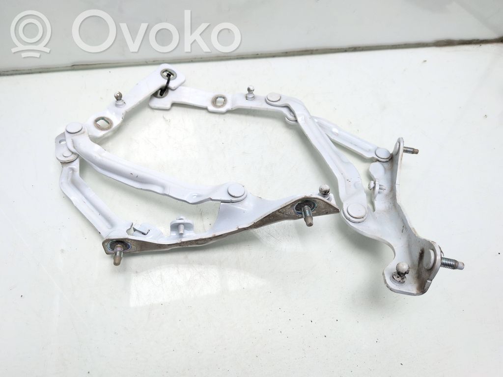 Tesla Model 3 Engine bonnet/hood hinges 